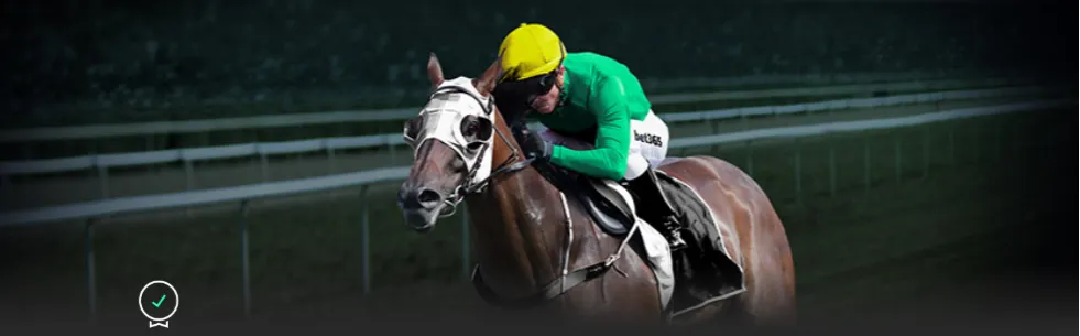 刘梦婷呼吁,更多人参与,冰雪运动,大发彩神,彩票投注,在线购彩,彩票分析,高频彩票