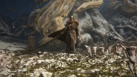 马都拉联VS婆罗洲FC 大乐透期号专家质合分析推荐